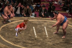 japan-tobysumo